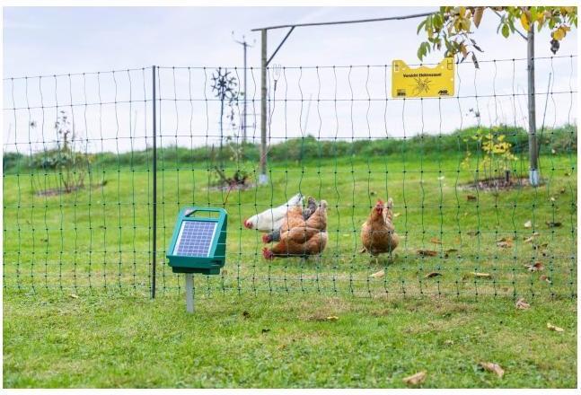 Actual product image AKO Poultry Net Premium