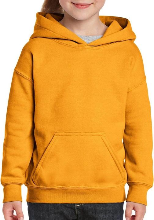 Image du produit Gildan Sweat-shirt avec capuche (XS)