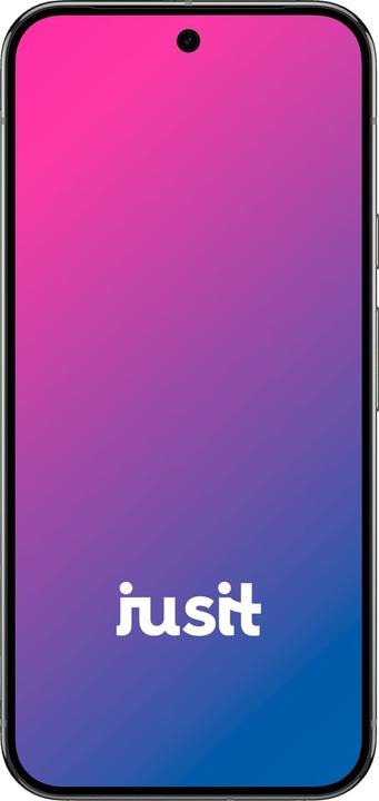 Image du produit jusit Pixel 9 Pro XL (256 Go, Grey, 6.73", 0.00 Mpx, A / Comme neuf)