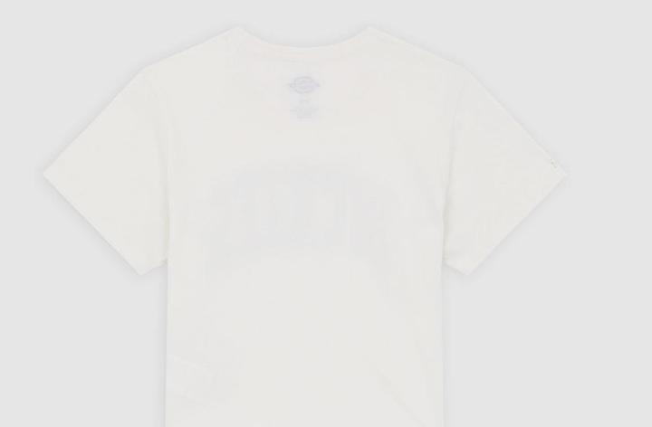 Produktbild Dickies Aitkin Tee Egret (XS)