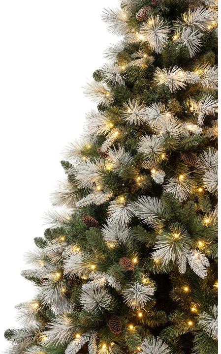 Image du produit STT Sapin de Noël à LED (250 cm)