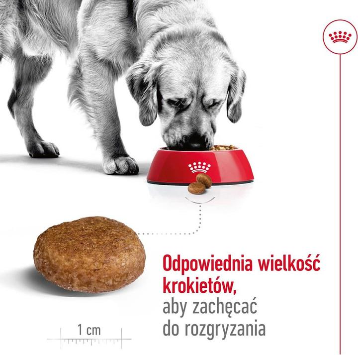 Actual product image Royal Canin Maxi Mature (Senior, 1 pcs., 15000 g)