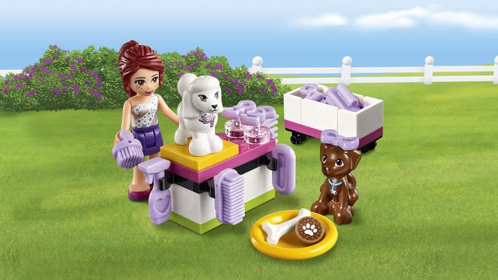 Actual product image LEGO Friends Puppy Championship (41300, LEGO Friends)