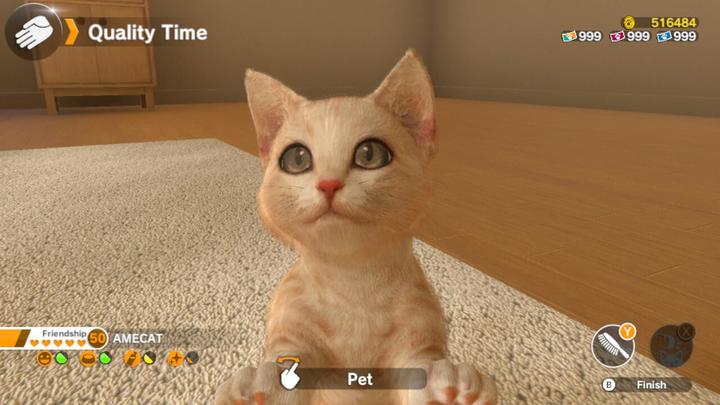 Actual product image Sold Out Little Friends: Dogs & Cats (Switch, DE)