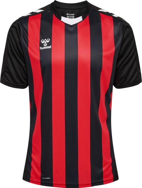 Actual product image hummel Core Xk Striped Jersey S/S (S)