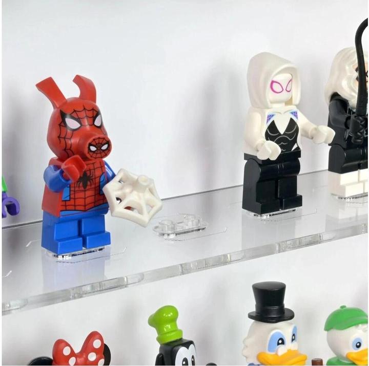 Image du produit iDisplayit Présentoir mural en acrylique pour 60 figurines LEGO® (avec fond blanc)