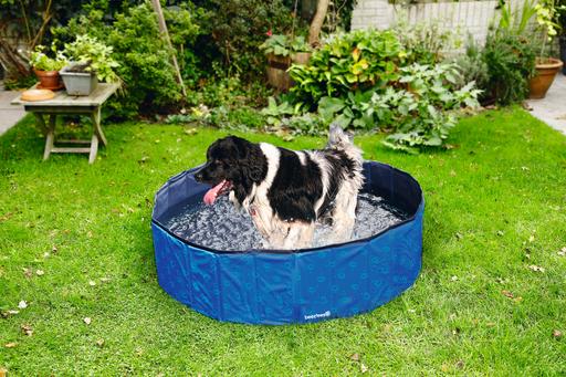Actual product image Beeztees Dog pool (Dog pool)