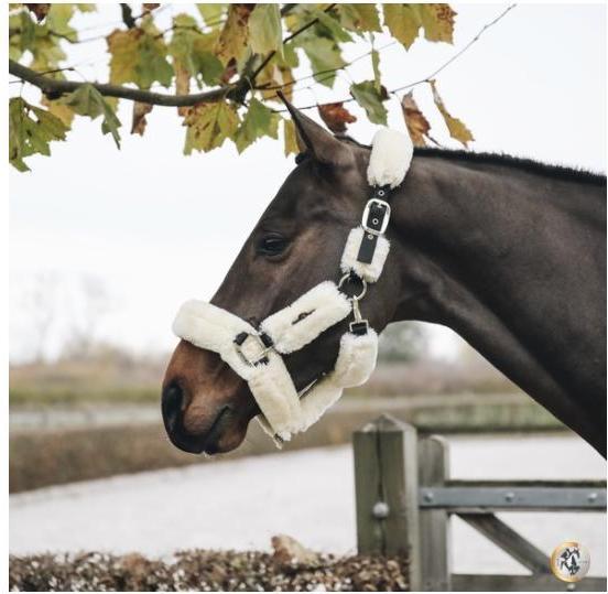 Produktbild Kentucky Horsewear Halfter Lammfell