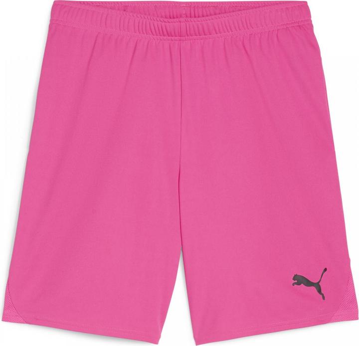 Image du produit Puma teamGOAL Short (L)