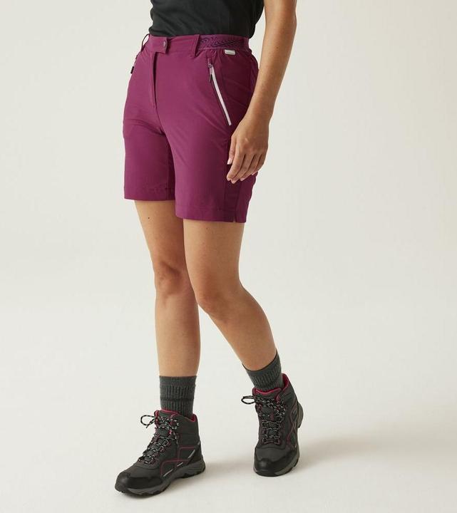 Image du produit Regatta Mountain Shorts II (XS)