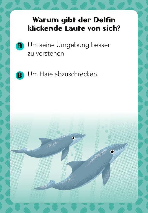 Immagine prodotto National Geographic Quiz sugli animali. 100 domande sugli animali per gli appassionati di quiz e gli amanti degli (Tedesco)