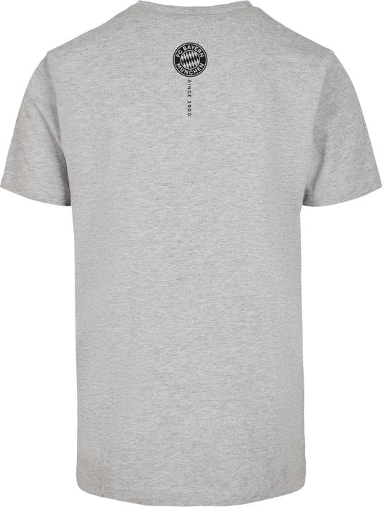 Actual product image FC Bayern München Logo Vertical T-Shirt Round Neck - 115207 (4XL)
