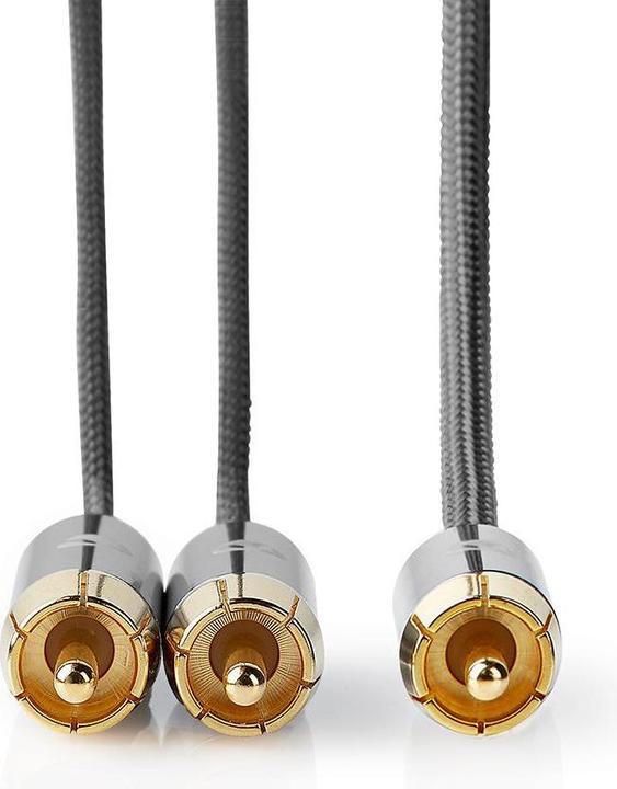 Immagine prodotto Nedis Cavo subwoofer | RCA | 2x Spina RCA | Placcato oro | 3,00 m | Rotondo | 4,5 mm | Grigio / Gun Metal (3 m)