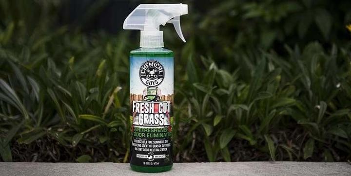 Immagine prodotto Chemical Guys Erba fresca tagliata - Profumo d'estate per auto