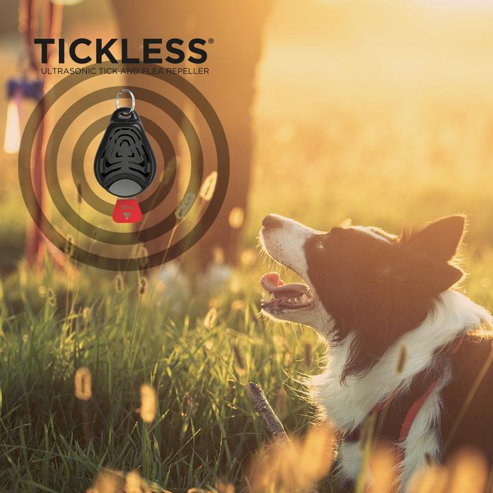 Immagine prodotto Tickless Animale domestico (Cane, Gatto)