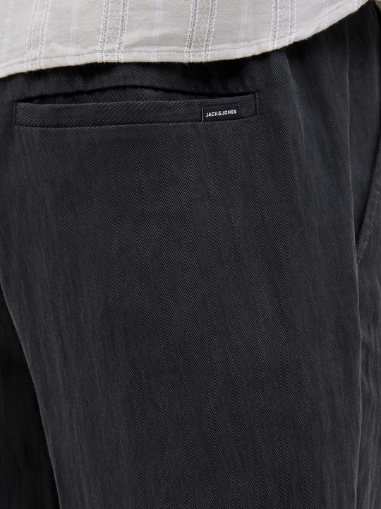 Actual product image Jack & Jones Jpstkarl Skye Jogger Sn (L)