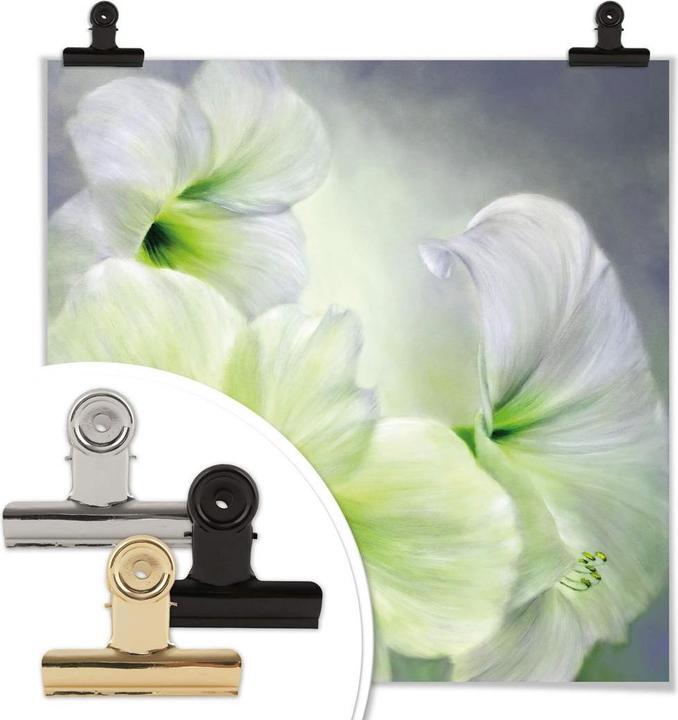 Actual product image Trenddeko White amaryllis (120 x 120 cm)