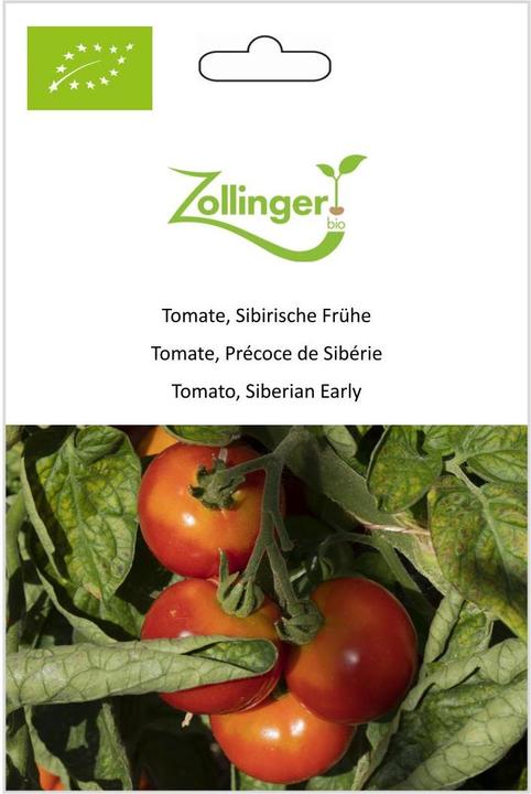 Image du produit Zollinger Bio Tomate, Sibérie précoce (Germes)