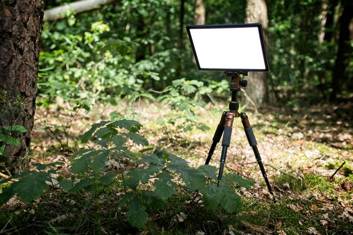 Actual product image Newell Air 650i (Surface luminaire)
