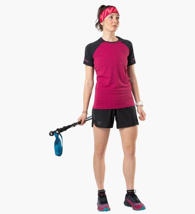 Image du produit Dynafit T-Shirt Alpine Pro (L, W46/L40, W44/L38, W40/L36)
