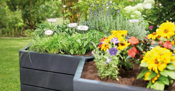 Produktbild Garantia Ergo System