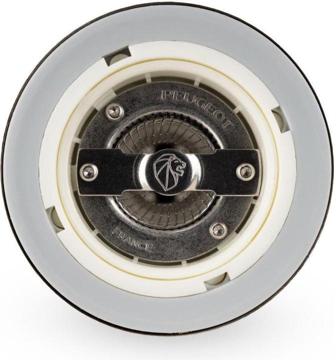 Image du produit Peugeot Madras (Sel)