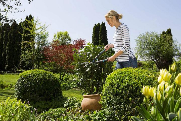 Productafbeelding Gardena EasyCut (Heggenschaar)