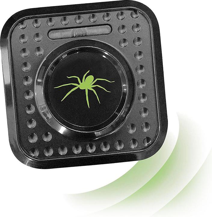 Image du produit Colibri Sans araignée