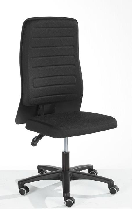 Image du produit Prosedia Chaise de bureau ECCON plus-3, contact permanent, sans accoudoirs, div. modèles, avec lordose...