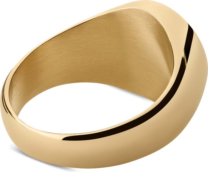 Image du produit Lucleon Ankh (67, Acier)