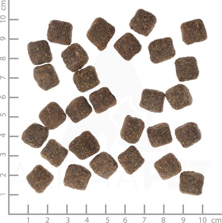 Actual product image Wolfsblut Dark Forest Small Breed Wild & Kartoffel 7,5 kg (Adult, 7500 g)