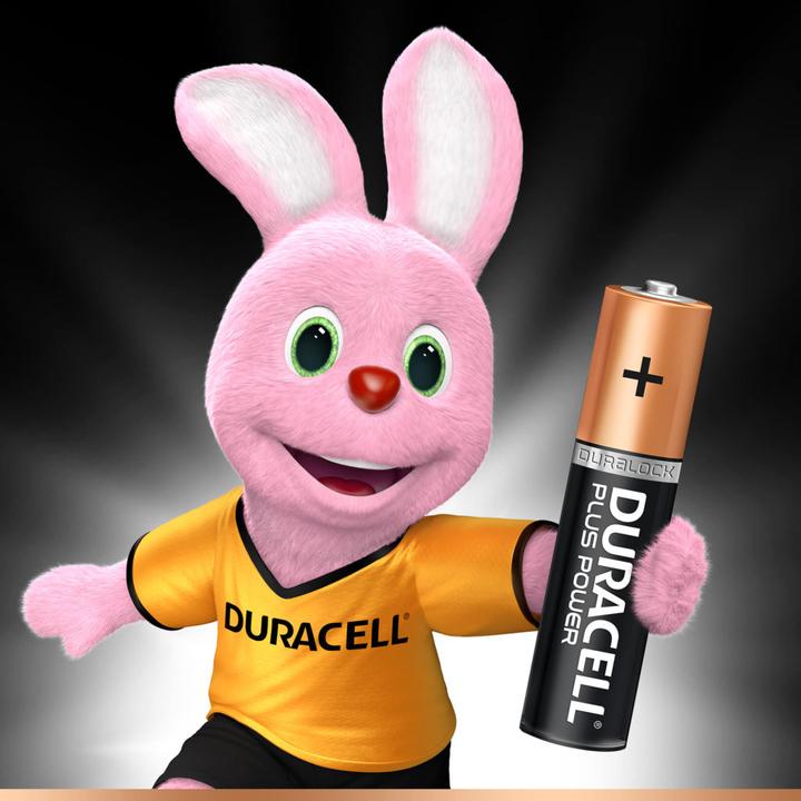 Produktbild Duracell Plus Power (12 Stk., AA, 2850 mAh)