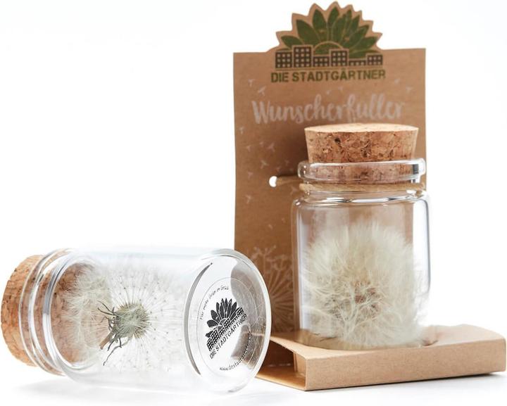 Actual product image Natura Punto Dandelion (Ø 4 x 8 cm)