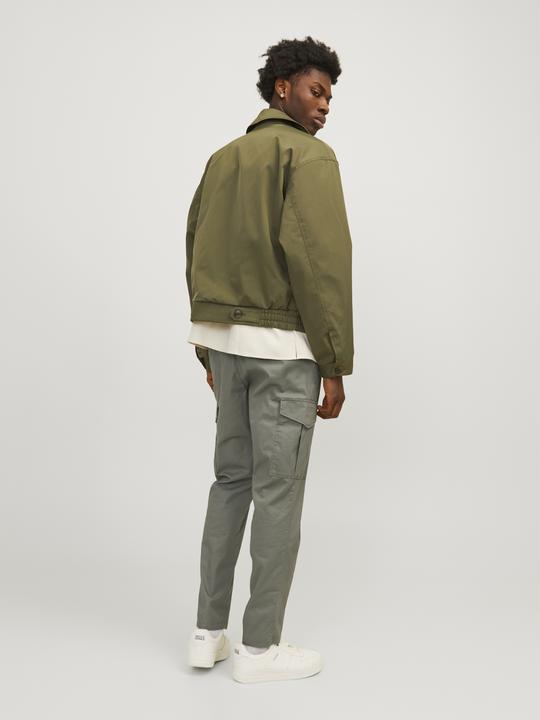 Produktbild Jack & Jones Cargo fit Karottenhosen Karottenhosen (W29/L32)