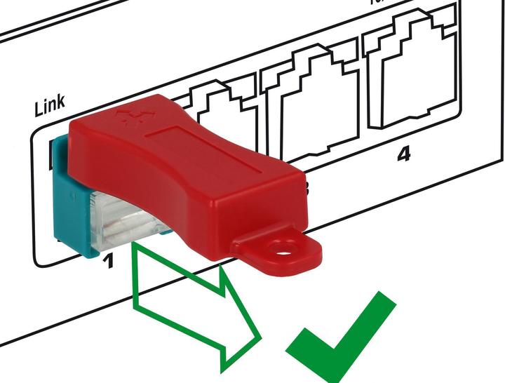 Actual product image Delock RJ45 latch clip with plug (Network cable plug)