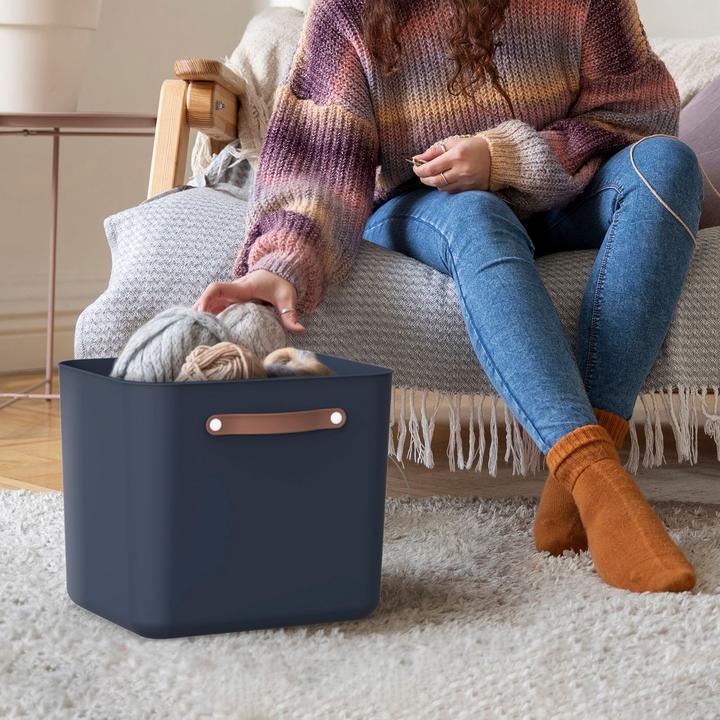 Image du produit Rotho Lot de 2 boîtes de rangement 20 l et 40 l MALOJA (40 l)