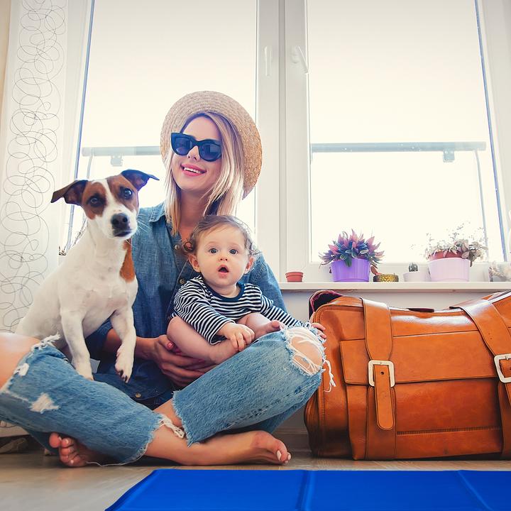 Actual product image Relaxdays Dog Cooling Mat, Blue (Dog)