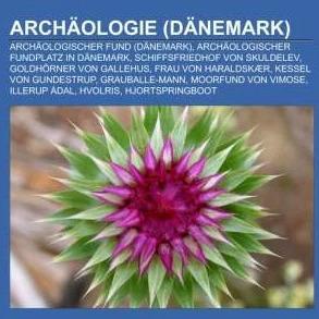 Produktbild Archäologie (Dänemark) (Deutsch, Books LLC, 2012)