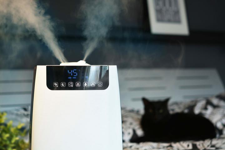 Image du produit Blaupunkt AHS 802 Humidificateur d'air (40 m²)