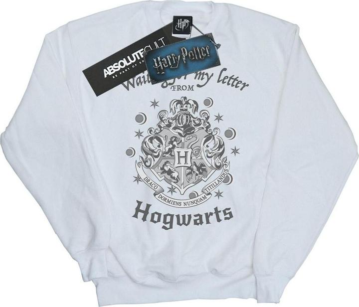 Hogwarts Waiting For My Letter Sweatshirt (3XL)