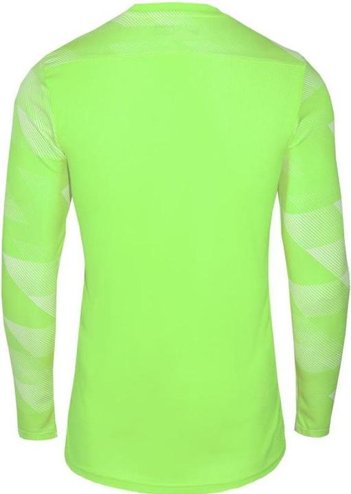 Immagine prodotto Nike Dri-Fit Park 4 Portiere Volt/Bianco/Nero L (L)
