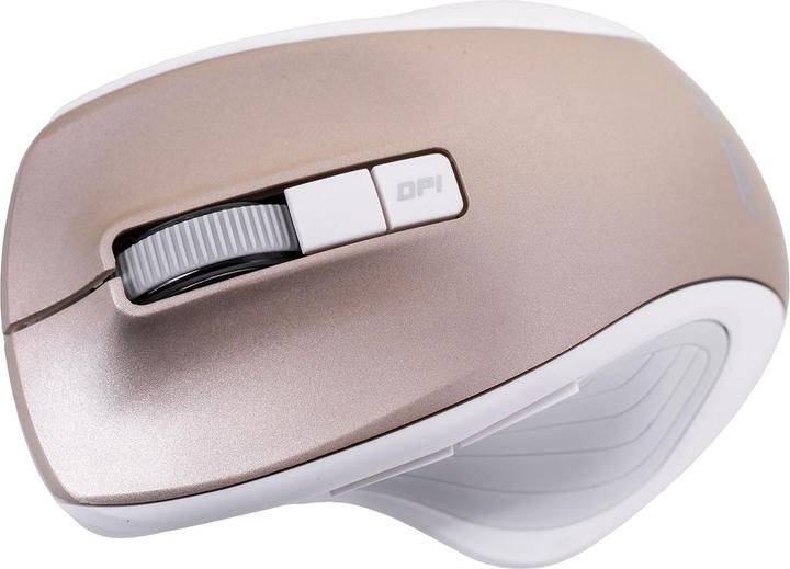 Immagine prodotto ASUS MW202 - ORO SENZA FILI (Senza fili)