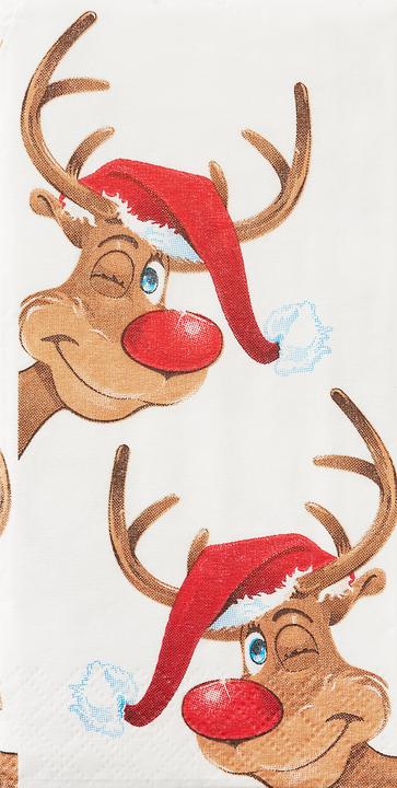 Image du produit Paper + Design Mouchoirs de Rudolph