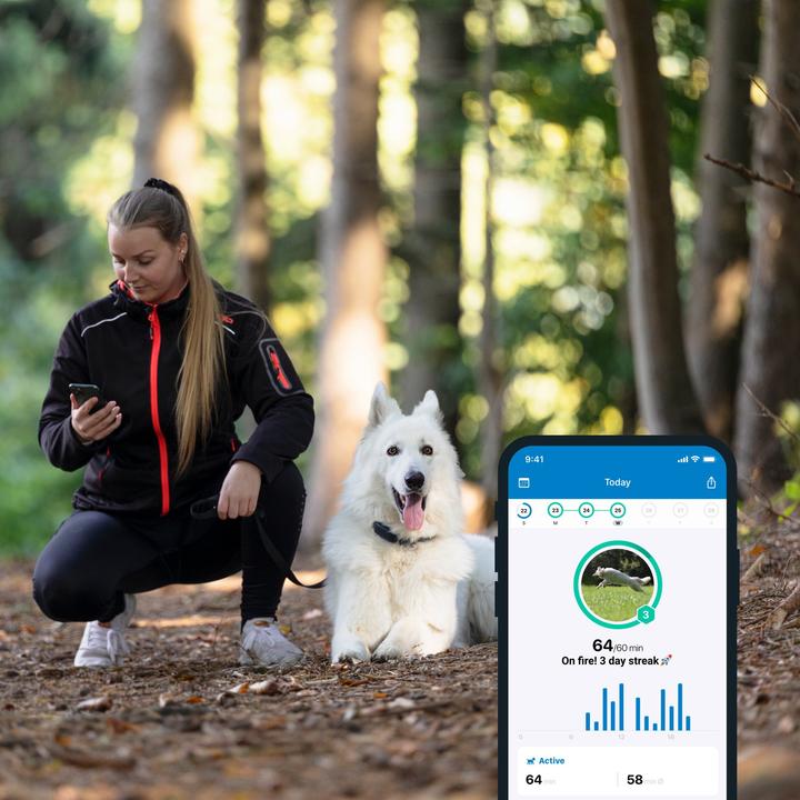 Actual product image Tractive Dog 4 GPS Tracker for Dogs (Cat, Dog, Walks)