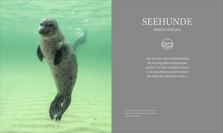 Image du produit Unsere Meere – Naturwunder Nord- und Ostsee (Allemand, Thomas Behrend, Martina Andrés, 2023)