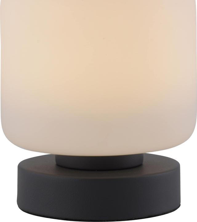 Produktbild Paul Neuhaus Bota (580 lm)