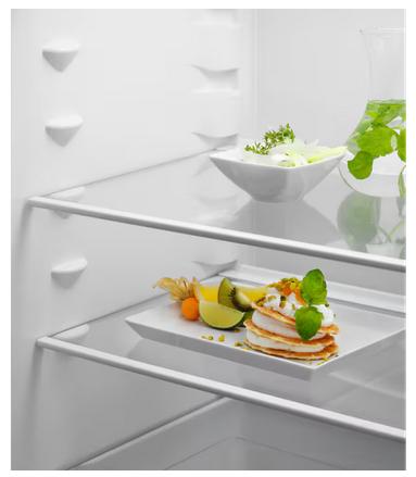 Actual product image Electrolux 500 Series KTS5LE16S Double Door Refrigerator from (249 l)