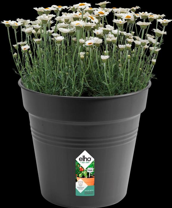 Produktbild Elho Green Basics (30 cm)