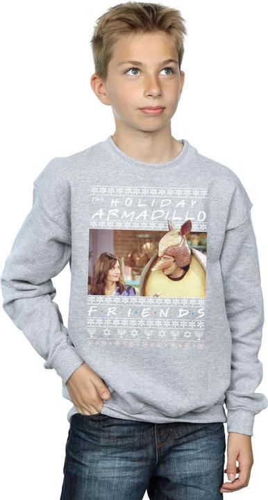 Immagine prodotto Friends Fair Isle Holiday Armadillo Felpa Ragazzi (140, 146)