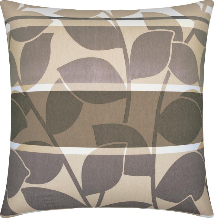 galet taupe